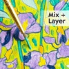 image:imageFaberCastell Paint by Number Museum Series  Vincent Van Gogh The Starry Night  Paint by Numbers for Adult Beginners amp Young Artists Packaging May VaryIrises