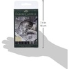 image:imageFaberCastell Pitt Artist Pen Black amp Grey B F 15 FM 167171 Ink Pen Pack of 8Modern